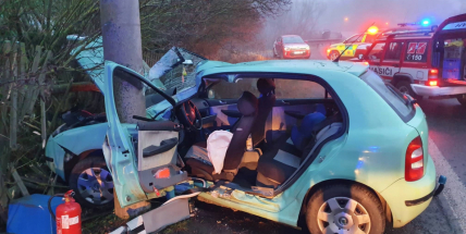 Snažila se dostat z havarovaného vozu, ale byla zaklíněna. Kolem projížděla auta a nikdo nezastavil