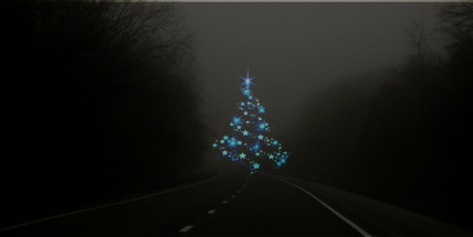 Na silnici viděl vánoční stromeček, strhl řízení a skončil na boku. Stromeček nikdo nenašel