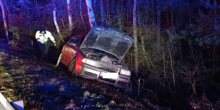 Auto vyletělo z dálnice a narazilo do stromu. Řidič skončil v nemocnici