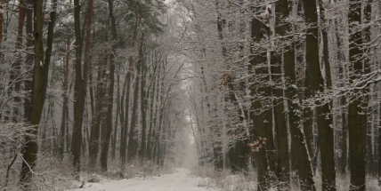 Na některých středočeských silnicích leží ujetá vrstva sněhu