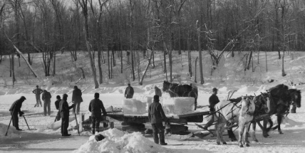 Když řeka zamrzla, přišli na řadu ledaři. Sklepení místních hostinců se plnila ledem z Vltavy