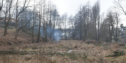 Čekalíkovský rybník a jeho okolí se začíná zvelebovat. Známe budoucí podobu