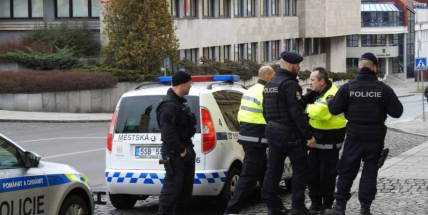 Městští strážníci zadrželi pachatele, který se vloupal do knihovny