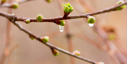 Počasí se zbláznilo, příští týden bude až 12 stupňů