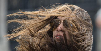 Meteorologové varují: Žene se silný vítr, hrozí poškození stromů