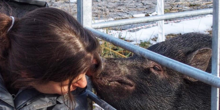 Pomáhá zvířatům, které nikdo nechce. Přesto čelí útokům. Od lidí