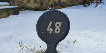 V údolí Kocáby vyhrabal pes lidské kosterní ostatky. Byly pohřbeny na dobříšském hřbitově