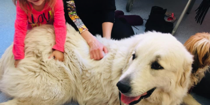 Když psa viděla, odhodila berle a lehla si k němu na zem. Odešla šťastná a bez berlí