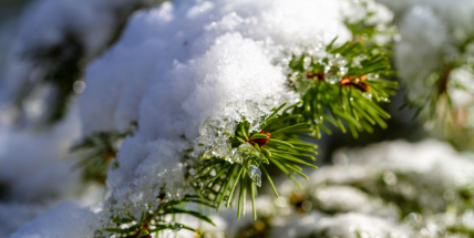 V noci na pátek napadne až 12 centimetrů sněhu