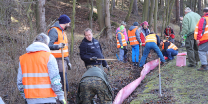 A žáby se mohou probouzet. U silnic v těchto dnech vznikají žabí přechody