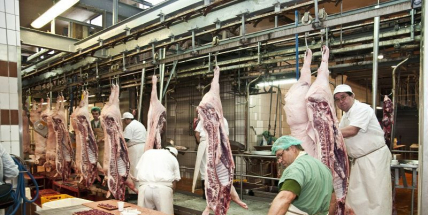 Příbramský masokombinát přijme v první fázi asi stovku lidí