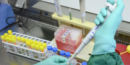 Počet nakažených koronavirem stoupl na 214. Třetina se nakazila v Čechách