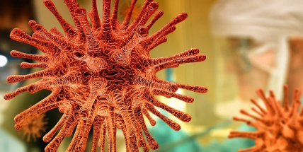 V sobotu přibylo 262 nakažených koronavirem