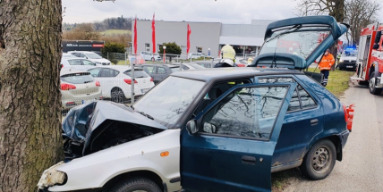 Vyvrátil dopravní značku a čelně havaroval do stromu