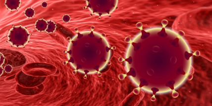 V Česku je už 25 vyléčených z COVID-19 a 23 úmrtí nakažených