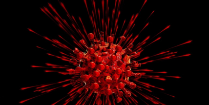 V Česku s koronavirem zemřelo 31 lidí, vyléčených je 45