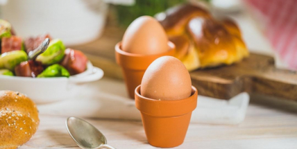 Blíží se Velikonoce, sezóna vajec. Víte, jaká vybrat?