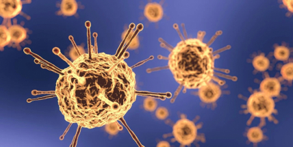 V těžkém stavu a vysoce intenzivní péči vyžaduje 77 lidí. Nemocných je 4194