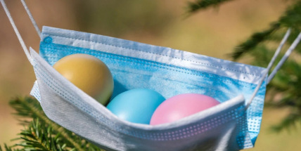 Hamáček: Neotevírejte koledníkům a nechoďte na pomlázku