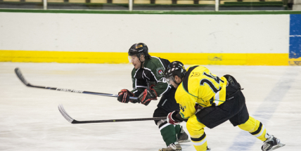 Příbramští hokejisté prohráli oba zápasy a sezona pro ně končí