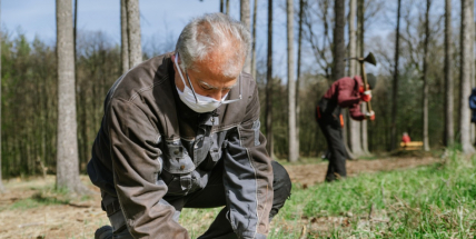 Zaniklé brdské obce připomenou nově vysazené stromy