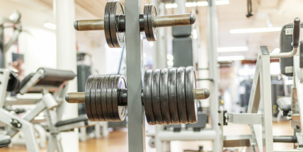 Od 11. května smí závodit a trénovat až 100 lidí současně