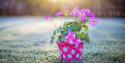 Začátek května přinese ochlazení, sucho bude přetrvávat