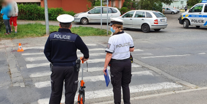 Řidič červené dodávky přejel na přechodu v Podbrdské ulici psa, policisté hledají svědky