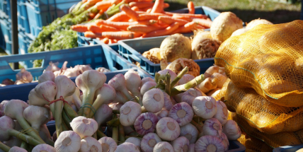 Dobříš připravuje na tento víkend první trhy