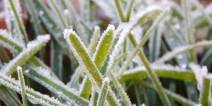 O víkendu budou teploty atakovat 25 stupňů, v příštím týdnu se ochladí a může i sněžit