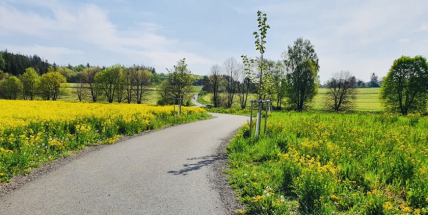Na cyklostezce do Bohutína zakáže Příbram jízdu na koních, znečišťují cestu