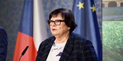 Vláda nepočítá s mechanismem pro odškodňování firem