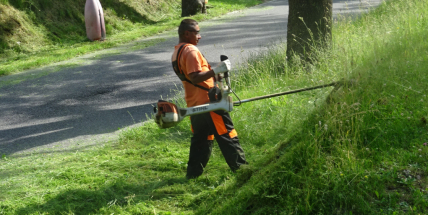 Příbram v letošním roce přistupuje k omezenému sekání trávy