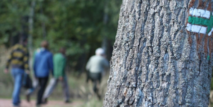 Vojenské lesy uzavřely dohodu s klubem turistů o rozvoji tras v lokalitách, které se otevřely veřejnosti
