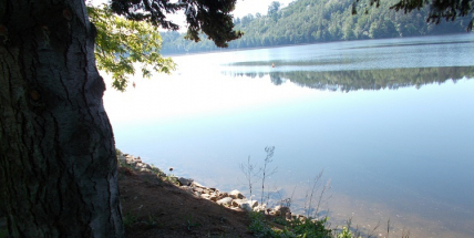 Hygienici: Kvalita vody na Orlíku a na Slapech je stále výborná