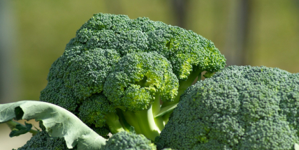 Brokolice, citrony, česnek zdražily o desítky procent