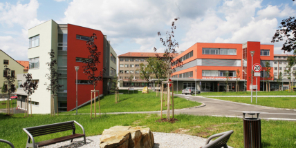 Ve středočeských krajských nemocnicích není nikdo s covidem-19
