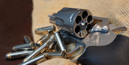 Senát schválil návrh na ústavní zakotvení práva bránit se zbraní