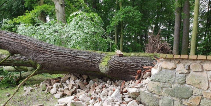 Pád vzrostlého stromu poškodil zámecký plot v Březnici, hasiči ulici uzavřeli