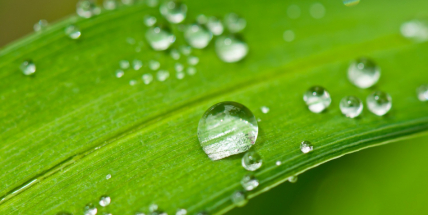 O víkendu bude pršet, příští týden bude jasno s teplotami až 30 stupňů