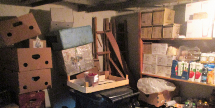 V mrazáku prošlé pečivo a párky, znečištěné a zaprášené podlahy. Hygienici zasahovali v kempu na Podskalí