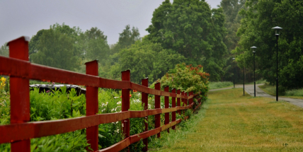 Teploty budou postupně klesat. Až do poloviny září bude kolem 20 stupňů