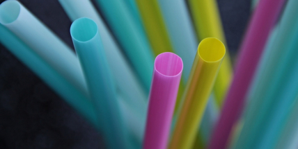 Od července by měl platit zákaz plastových vatových tyčinek, příborů, talířů nebo brček