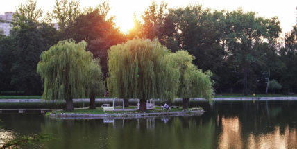 Oproti minulým rokům byla kvalita vody na Novém rybníku po celou sezonu hodnocena nejlepším stupněm