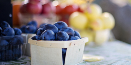 Sobotní farmářské trhy namíchají gastronomické i kulturní ingredience