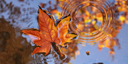 Deštníky neodložíme, srážky budou nadprůměrné i v příštím týdnu