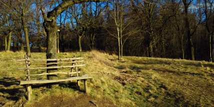 Oslavte příchod jara ve Svatohorském sadu, pilky s sebou