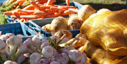 V sobotu si můžete koupit produkty od místních farmářů a výrobců
