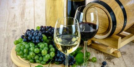 Vinotéky zaplní Svatomartinská vína