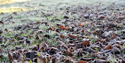 Příští týden se ochladí, v noci už mohou přijít mrazíky